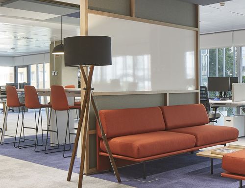 Office trends 2024: eco-friendly, flexible and comfortable