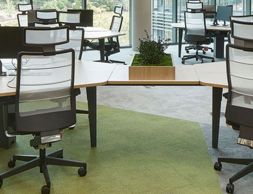 Organic office design: a new way of working